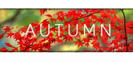 Autumn PC performance and system requirements