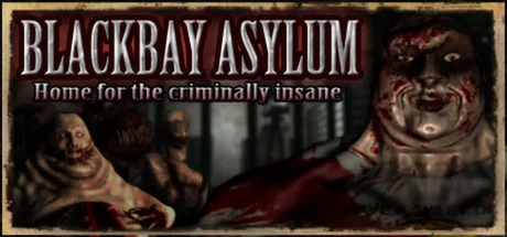 Blackbay Asylum PC performance and system requirements