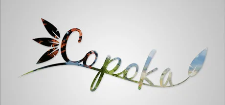 Copoka PC performance and system requirements