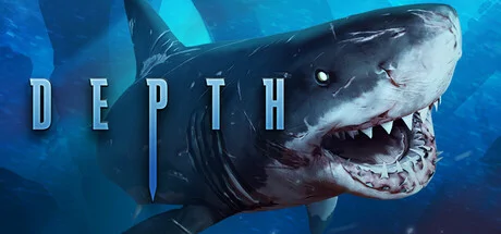 Depth cover