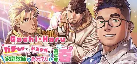Gachi-Haru PC performance and system requirements