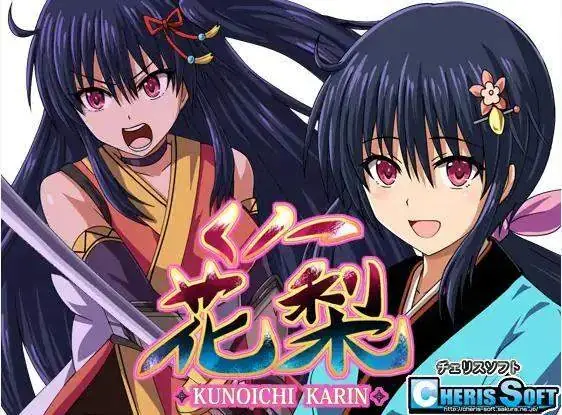 Kunoichi Karin PC performance and system requirements