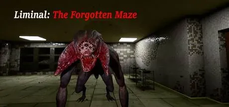 Liminal:The Forgotten Maze PC performance and system requirements
