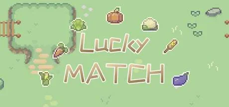 Lucky MATCH PC performance and system requirements