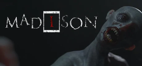 MADiSON PC performance and system requirements