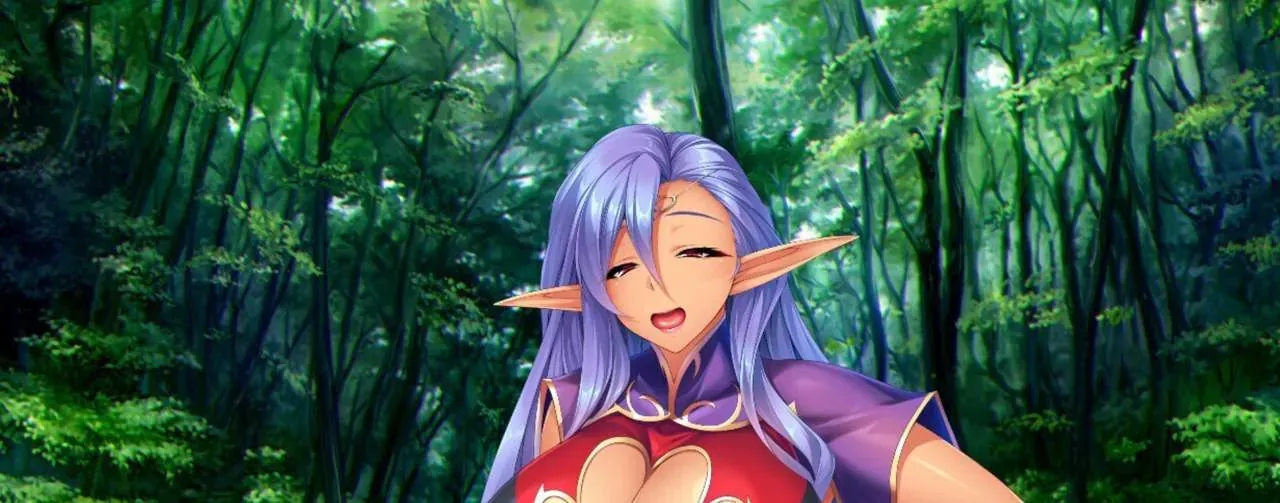 Masochistic Elves from Another World! PC performance and system requirements
