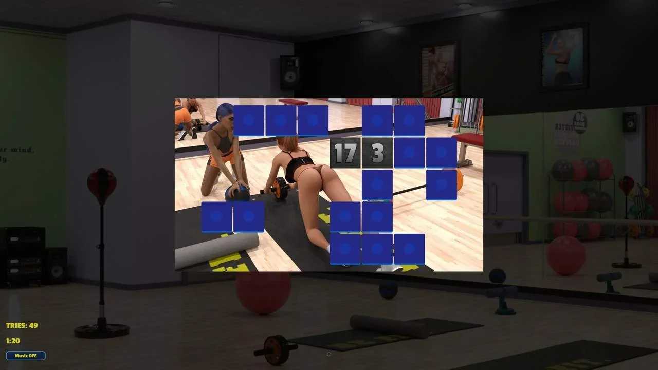 Memory Puzzle - Futanari Gym PC performance and system requirements