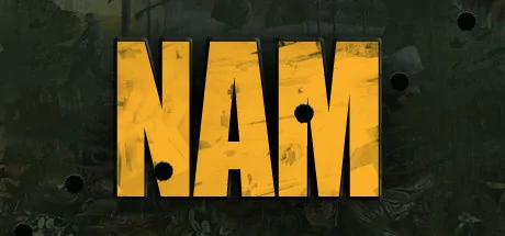 NAM PC performance and system requirements