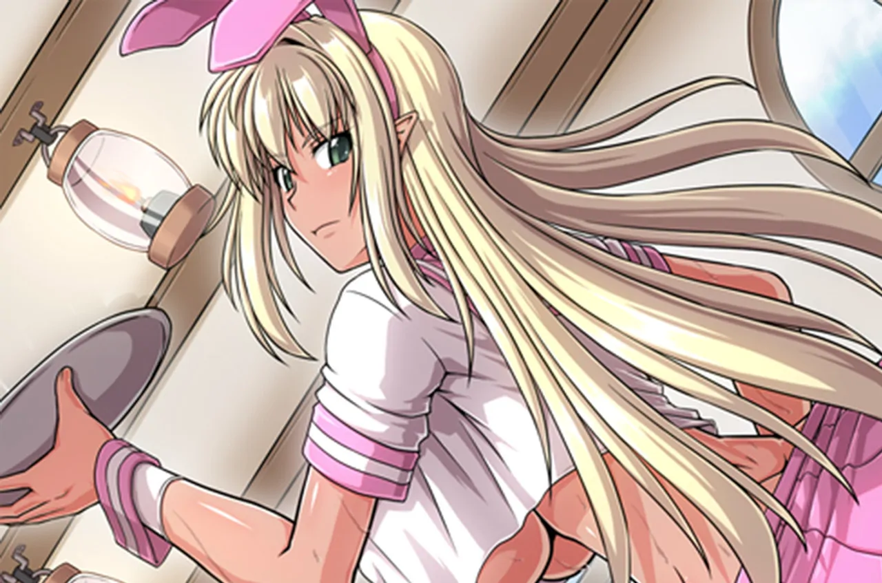 Namaiki Dark Elf Sisters cover