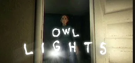 Owl Lights PC performance and system requirements