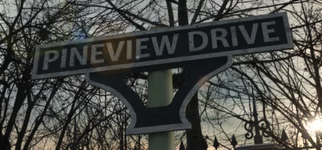 Pineview Drive cover