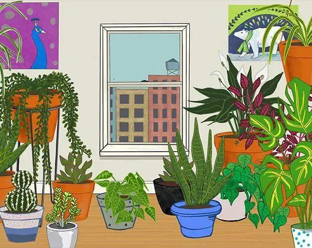 Plant Therapy