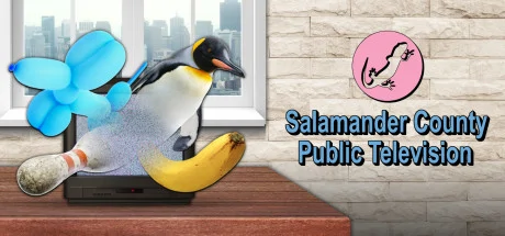 Salamander County Public Television PC performance and system requirements