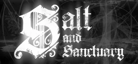 Salt and Sanctuary PC performance and system requirements