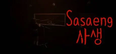 Sasaeng | ?? PC performance and system requirements