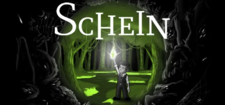 Schein cover
