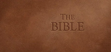 The Bible PC performance and system requirements