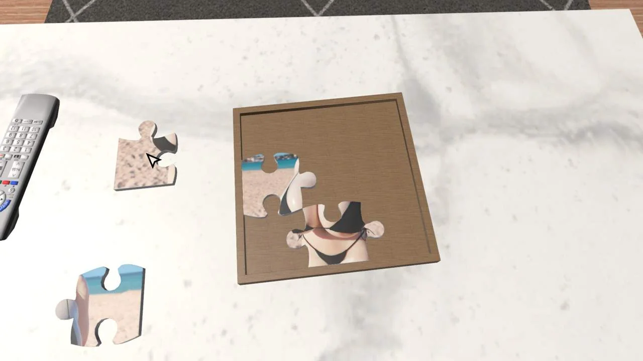 The Daily Life of Serving Doll cover