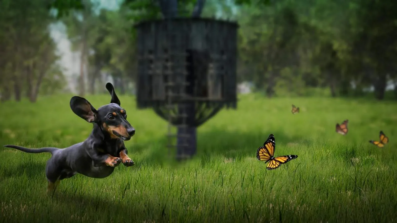 The Lost Dachshund