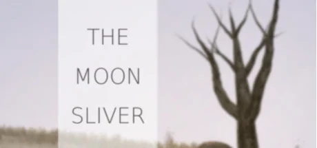 The Moon Sliver PC performance and system requirements
