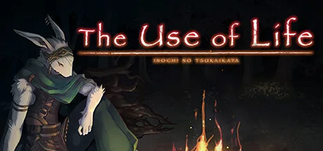 The Use of Life cover