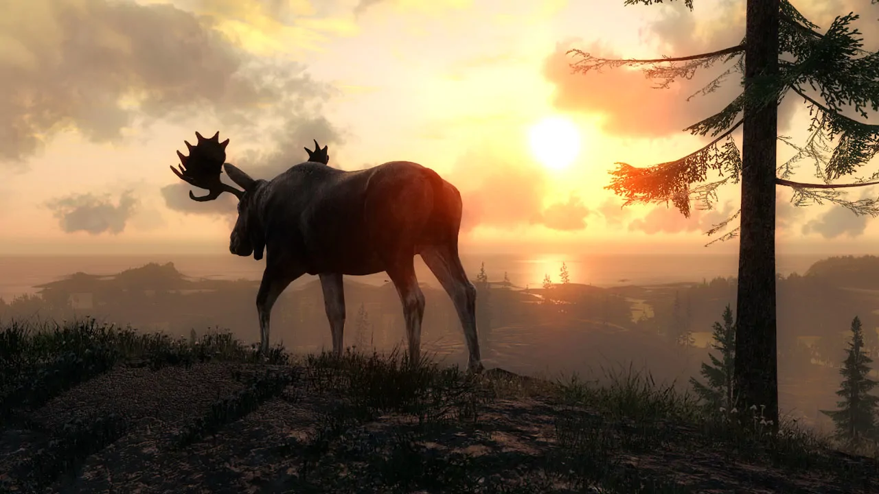 theHunter PC performance and system requirements