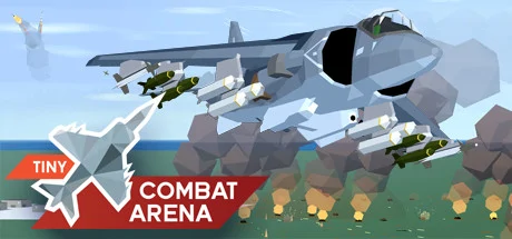 Tiny Combat Arena PC performance and system requirements