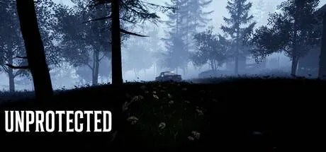 Unprotected PC performance and system requirements