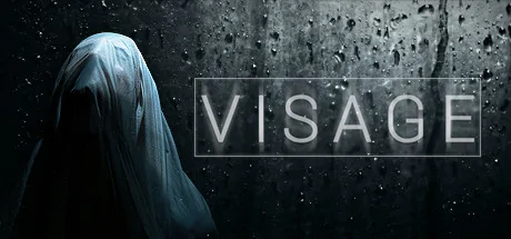 Visage PC performance and system requirements