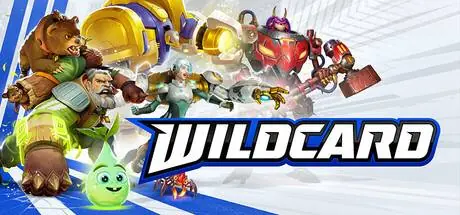 Wildcard PC performance and system requirements