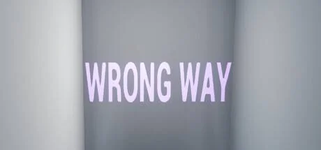 WRONG WAY PC performance and system requirements