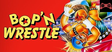 Bop'N Wrestle System Requirements