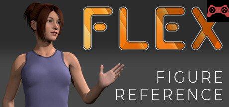Flex - Figure Reference System Requirements