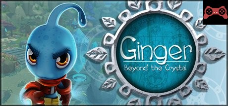 Ginger: Beyond the Crystal System Requirements
