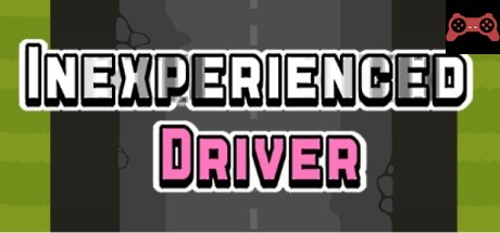 Inexperienced Driver System Requirements