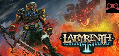 Labyrinth System Requirements