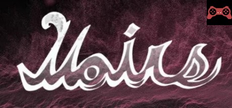 Moirs System Requirements