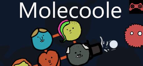 Molecoole System Requirements