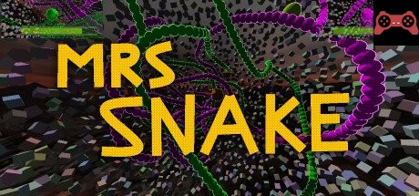 MRS SNAKE System Requirements