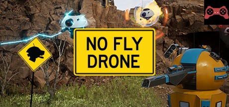 No Fly Drone System Requirements
