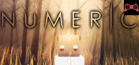 NUMERIC System Requirements