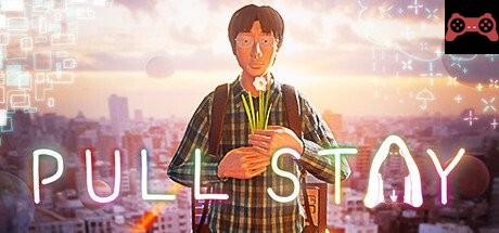 Pull Stay System Requirements