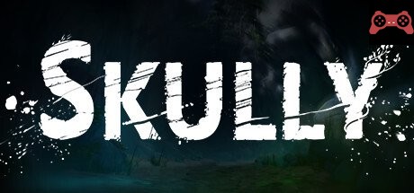 Skully System Requirements
