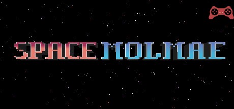 SPACE MOLMAE System Requirements