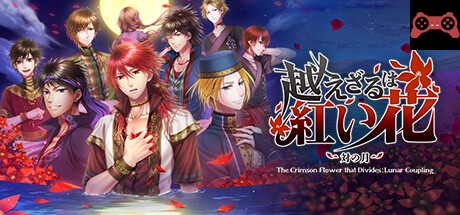 The Crimson Flower that Divides: Lunar Coupling System Requirements