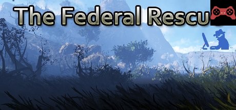 The Federal Rescue System Requirements