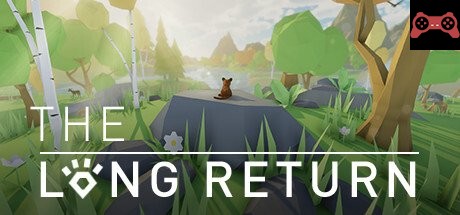 The Long Return System Requirements