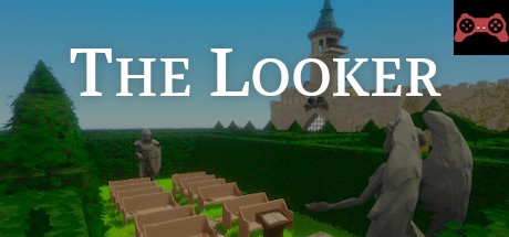 The Looker System Requirements
