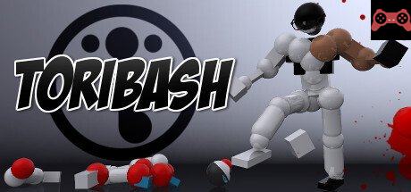Toribash System Requirements