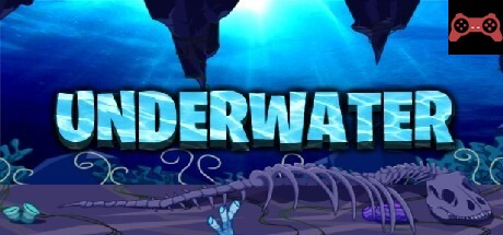 Underwater System Requirements